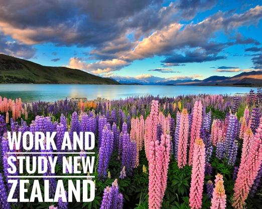 Work and Study New Zealand